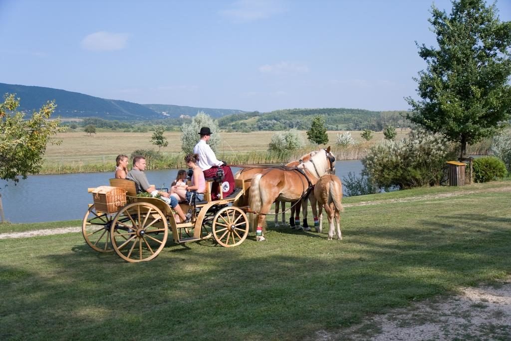 programlehetosegek-mor-hetkuti-hotel-lovaspark