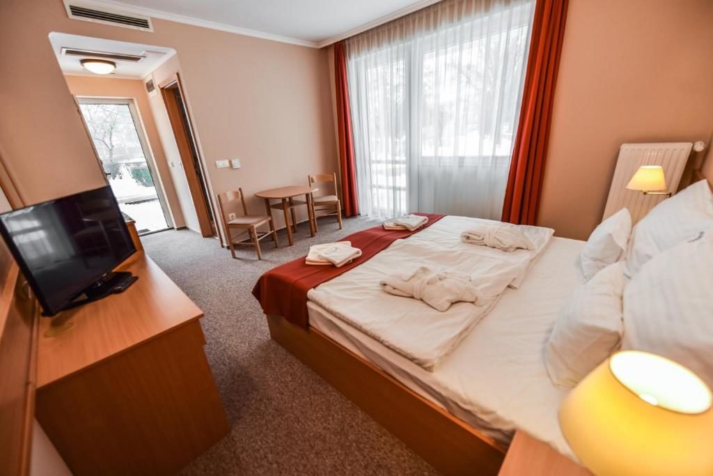 programlehetosegek-aqua-hotel-termal-6