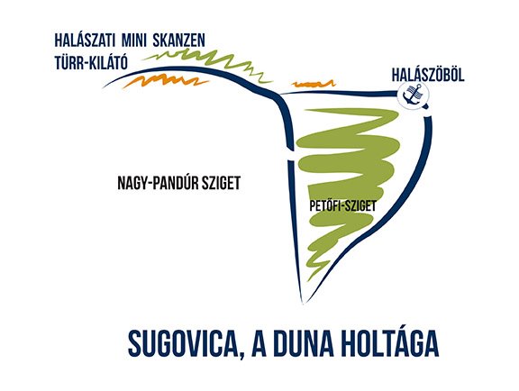 programlehetosegek-bajai-csonakazas-4